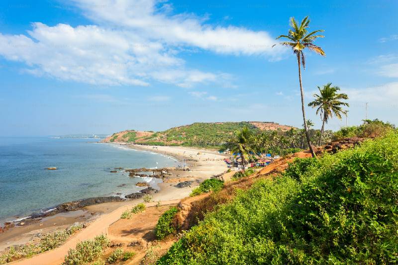 Special Seasonal Offers